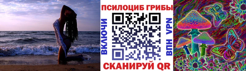 закладка  Западная Двина  mega рабочий сайт  Псилоцибиновые грибы Cubensis 